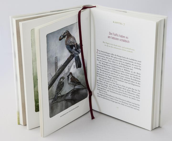 Produktbild Federnlesen (Deutsch, Johanna Romberg, 2018)