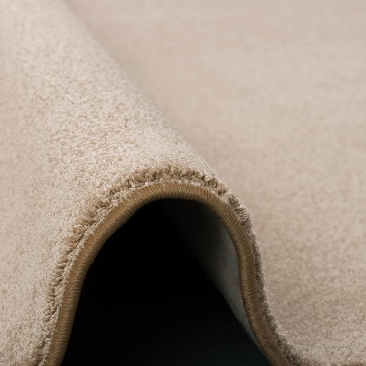 Produktbild Snapstyle Hochflor Luxus Velours Teppich Touch (100 x 400 cm)