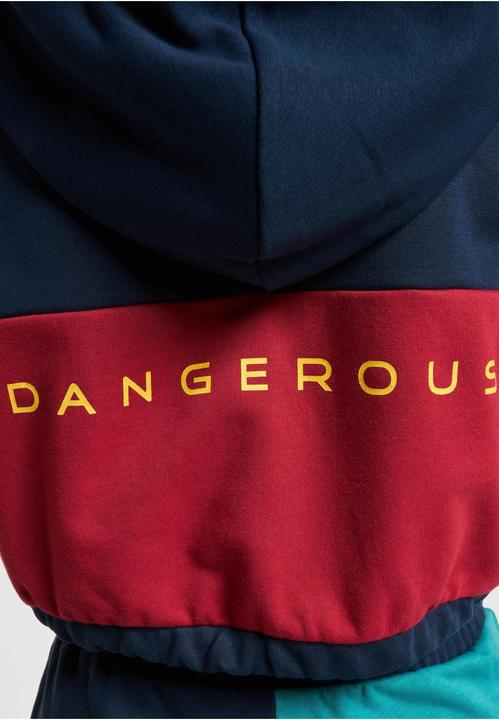 Image du produit Dangerous DNGRS Sweat à capuche 4C - 139053 (XS)