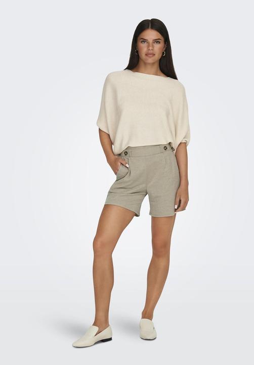Actual product image JdY Regular fit shorts Shorts (S)
