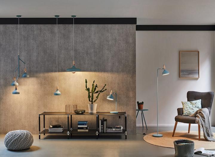 Actual product image Paulmann Neordic Juna (E27)