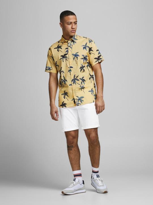Actual product image Jack & Jones Bowie (XS)