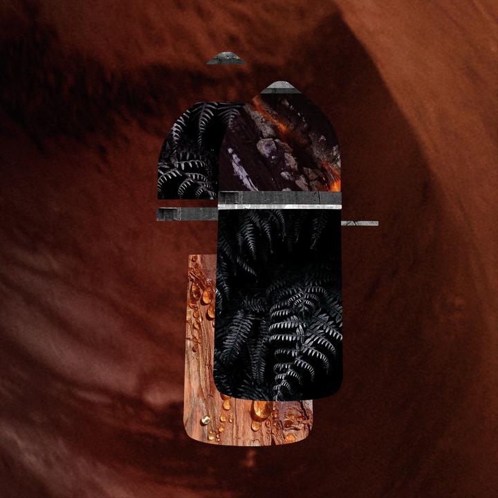 Image du produit Cartier Pasha de Noir Absolu (Eau de parfum, 100 ml)