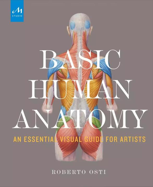 Immagine prodotto Anatomia umana di base (Inglese, Roberto Osti, 2016)