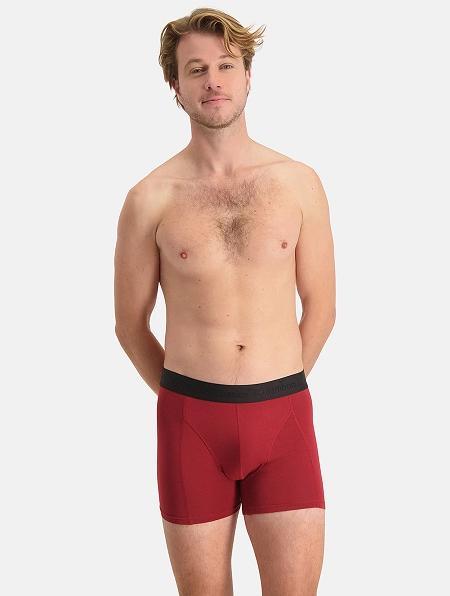 Actual product image Bamboo Basics T-shirt Ruben (L, pack of 3)