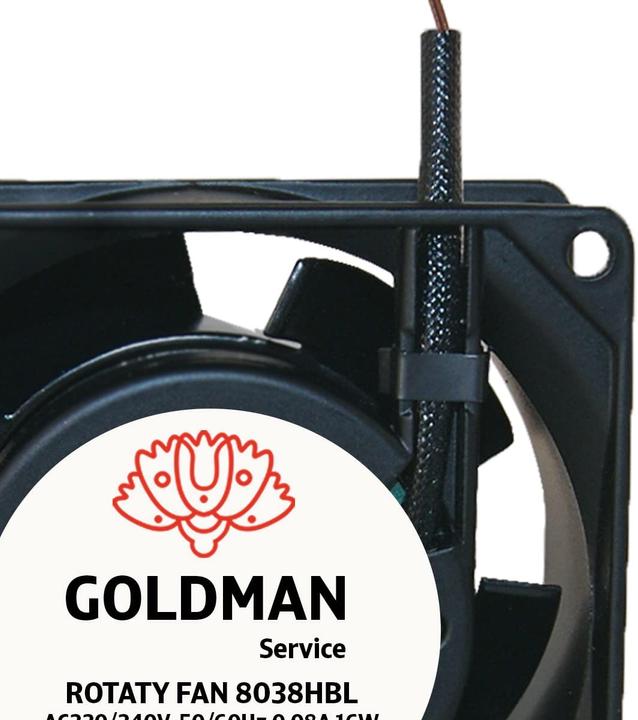 Immagine prodotto Goldman Service Ventilatore assiale per camino a cassetta