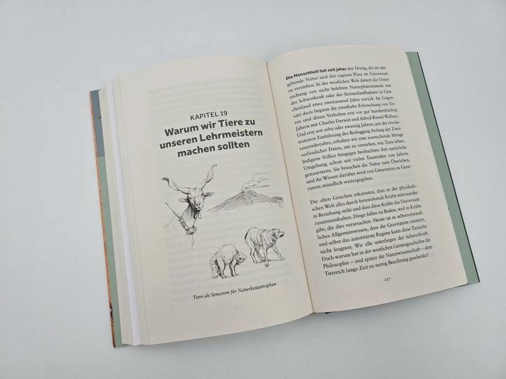 Actual product image The Internet of Animals: Was wir von der Schwarmintelligenz des Lebens lernen können (German, Sven Dörper, Thomas Wollermann, Martin Wikelski, 2024)