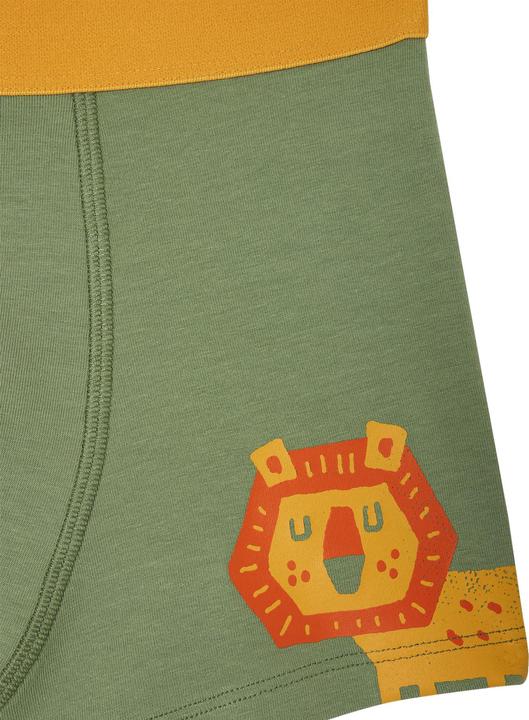 Produktbild Vertbaudet Bio-Kollektion: 5er-Pack Jungen Stretch-Boxershorts Dschungel (98, 5er Pack)