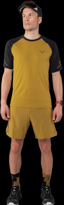 Actual product image Dynafit Alpine Pro M S/S Tee (46)