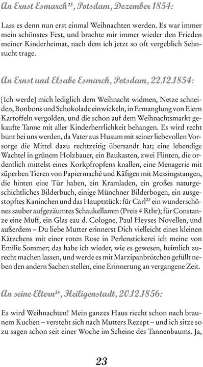 Immagine prodotto Theodor Storms Weihnachten (Tedesco, Gerd Eversberg, 2017)