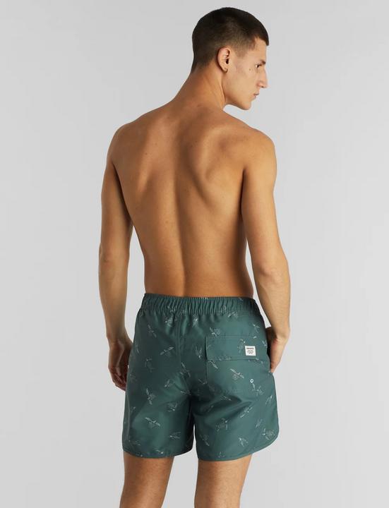 Produktbild Dedicated Swim Shorts Sandhamn Sea Turtles Forest Green XL (XL)