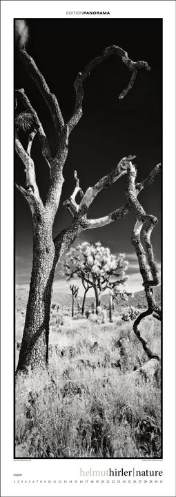Image du produit Nature (Allemand, Anglais)