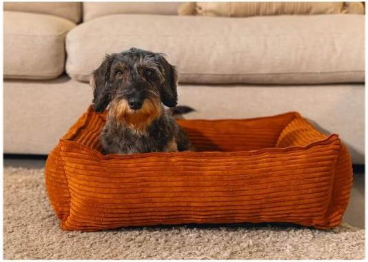 Image du produit Designed by Lotte Ribbed (Chien)