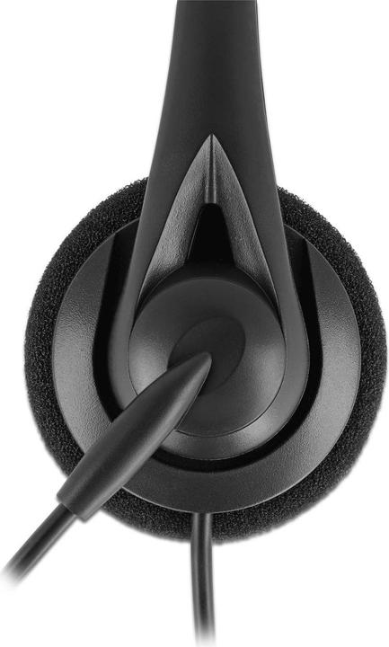 Actual product image Delock USB Stereo Headset with Volume Control for PC and Notebook (Cable, USB-A)