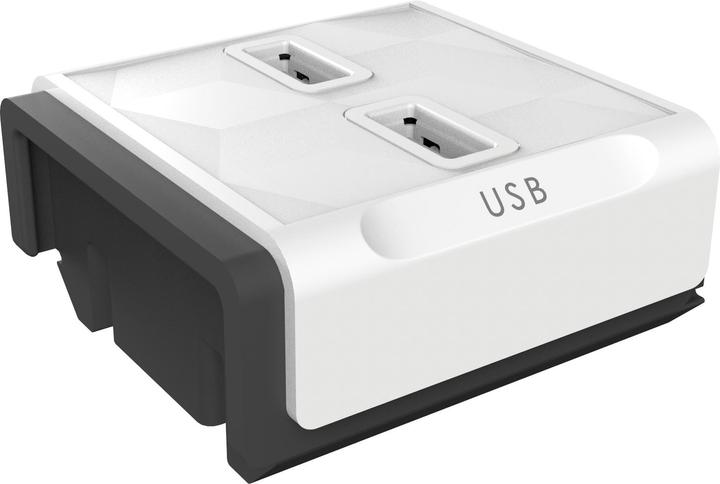 Image du produit Allocacoc Module chargeur USB, PowerStrip PDU MODULE, 2X USB