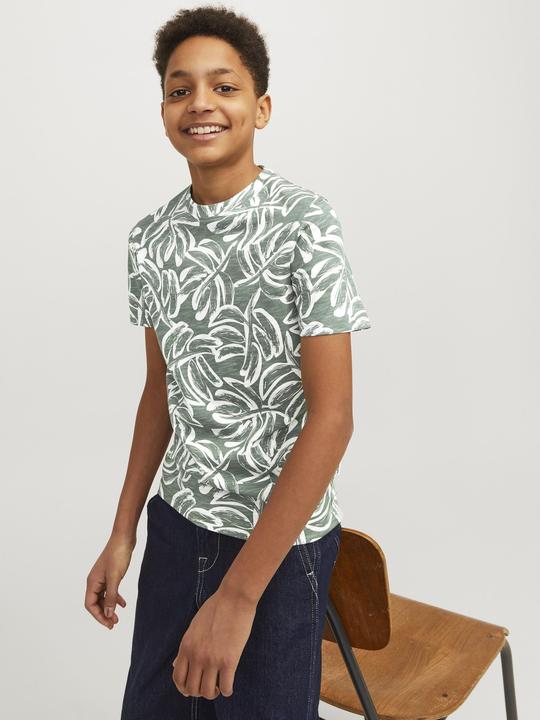 Produktbild Jack & Jones Jorlafayette Aop Tee Ss Crew Neck Mni (116)