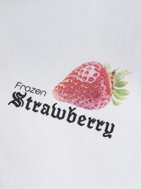Produktbild Jack & Jones Jorbradley Fruits Tee Ss C.N Stmss25 (M)