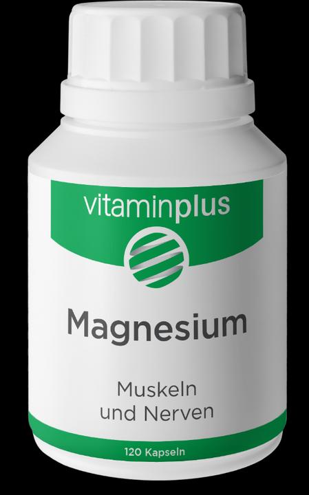 Produktbild Vitaminplus Magnesium Kapsel (120 Stück, Kapseln)