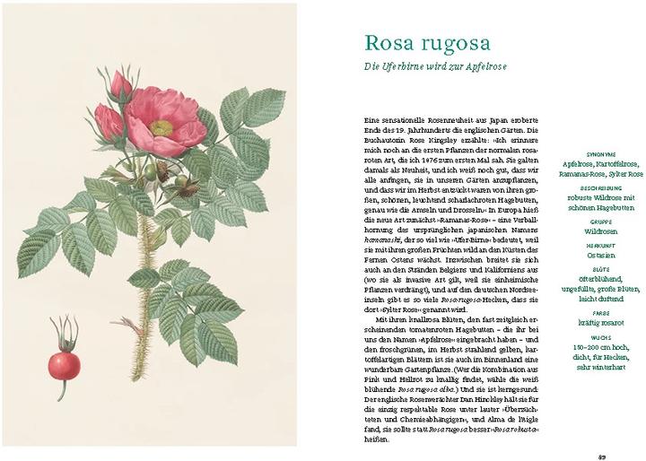 Produktbild Historische Rosen (Deutsch, Sofia Blind, Staatsbibliothek zu Berlin, 2023)