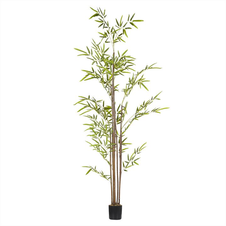 Produktbild Beliani Bambusa Vulgaris (160 cm)