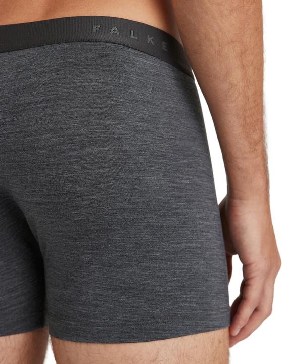Image du produit Falke Hommes (M)