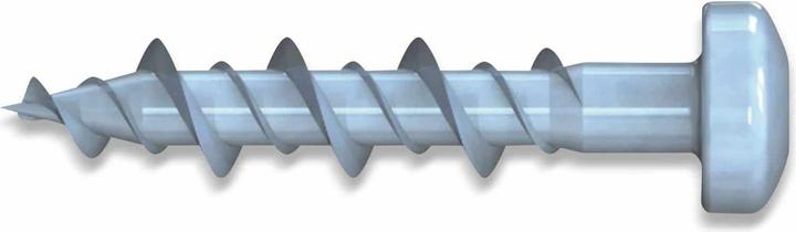 Actual product image Reisser Mounting screw, Pan Head, TX drive, Hi-Lo VG, 6.3 x 30, steel, PU 100, 100 pcs. (100 pcs.)