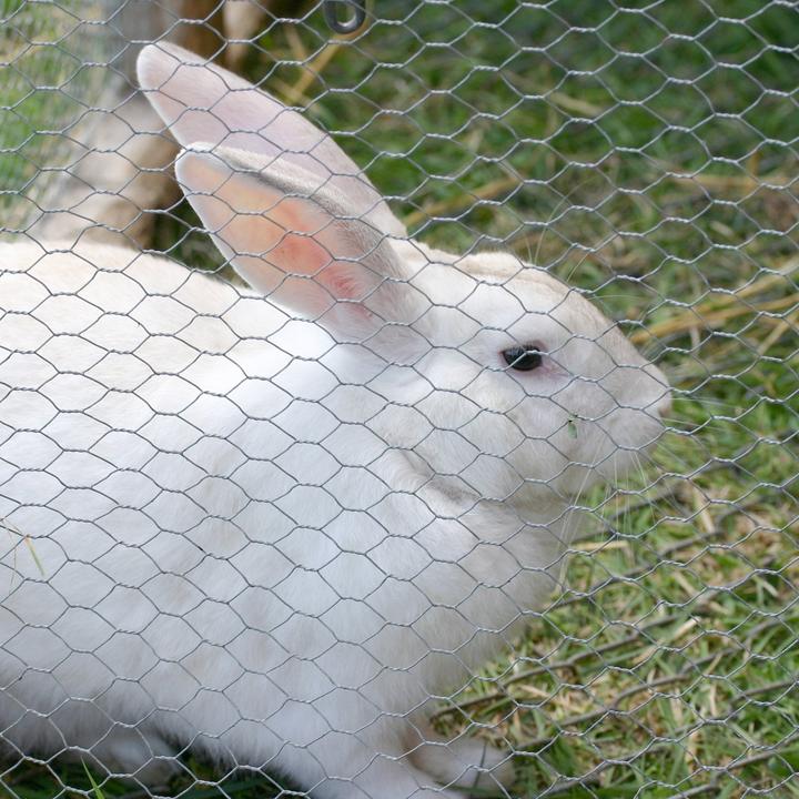 Produktbild Casa Pura Drahtzaun Kleintierzucht (10 m)