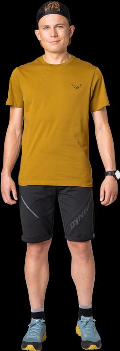 Immagine prodotto Dynafit 24/7 Graphic T-Shirt (L)