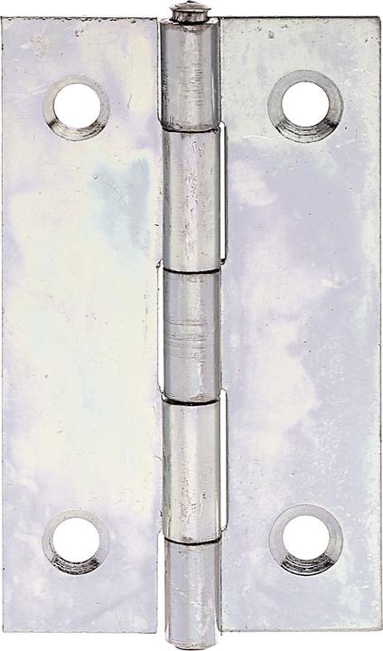 Immagine prodotto Alberts Cerniera stretta con perno in ottone rivettato, 51 x 30 mm, zincata gialla