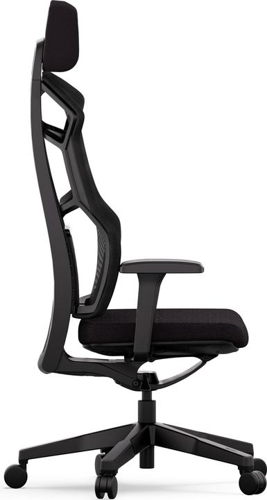 Actual product image RECARO Aer