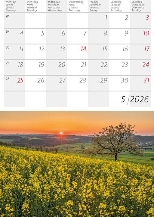 Immagine prodotto Kleiner Schweizer Kalender 2026 (Copertina rigida, Tedesco, Francese)