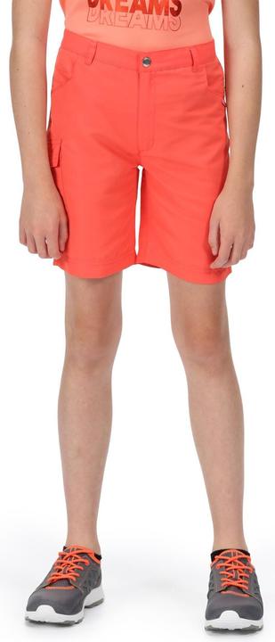 Produktbild Regatta Sorcer II Shorts (164)