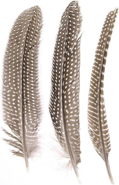 Image du produit Glorex Plumes de pintade