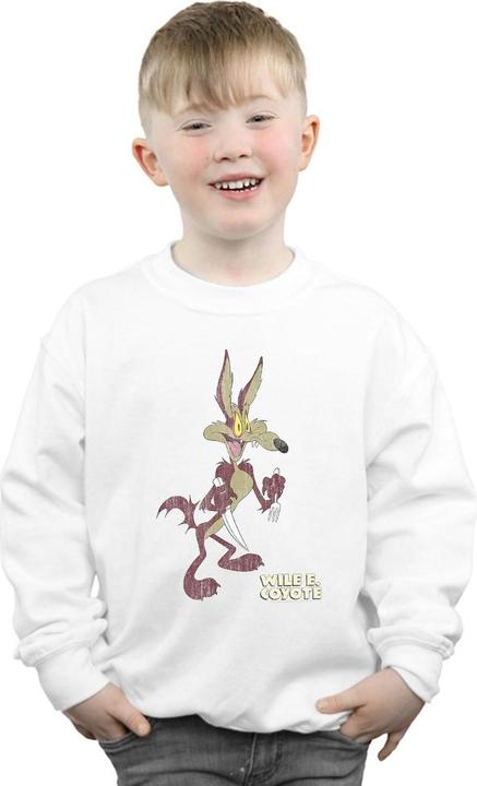 Immagine prodotto Looney Tunes Wile E Coyote Distressed Felpa Ragazzi (152, 158)
