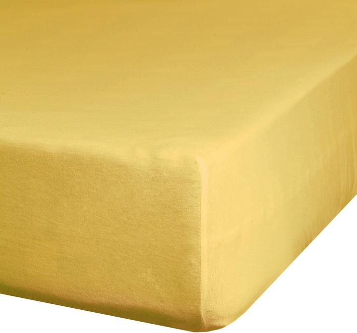 Actual product image Eurofirany D91 (240 x 220 cm)