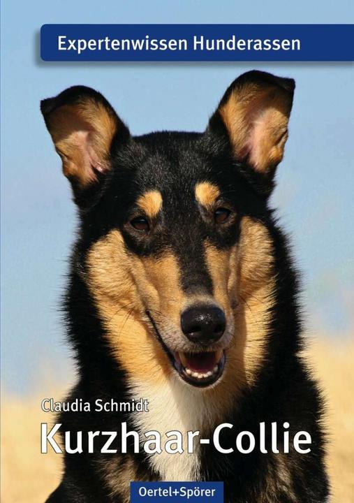 Produktbild Kurzhaar-Collie (Deutsch, Claudia Schmidt, 2017)