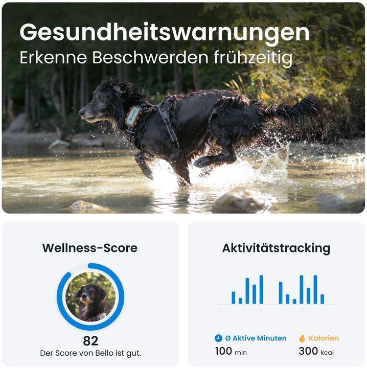 Actual product image Tractive GPS Dog (XL, Dog, Dog sport, Walks, Jogging)