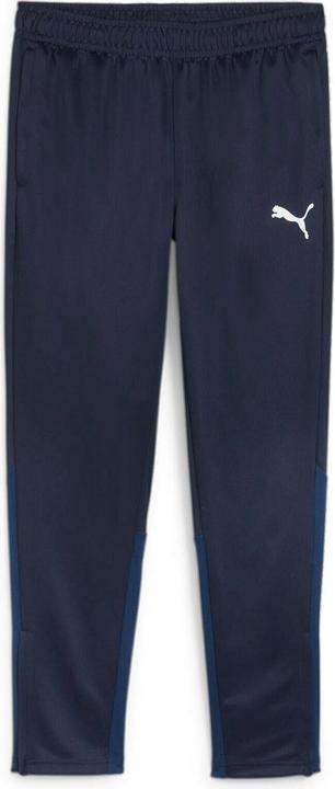 Actual product image Puma teamGOAL Training Pant (XL)