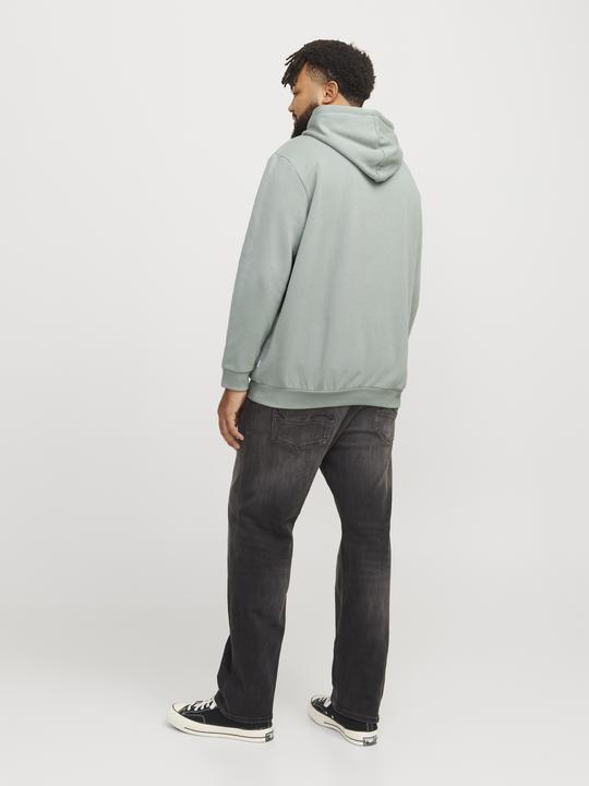Image du produit Jack & Jones Jjebradley Sweat Hood Noos Pls (3XL)