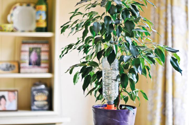 Actual product image Hozelock Holiday irrigation Aquasolo 27 (Clay cone)