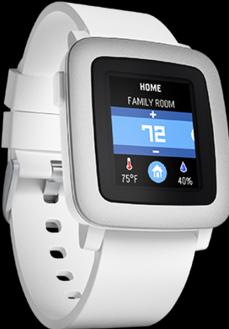 Produktbild Pebble Time (47.10 mm)