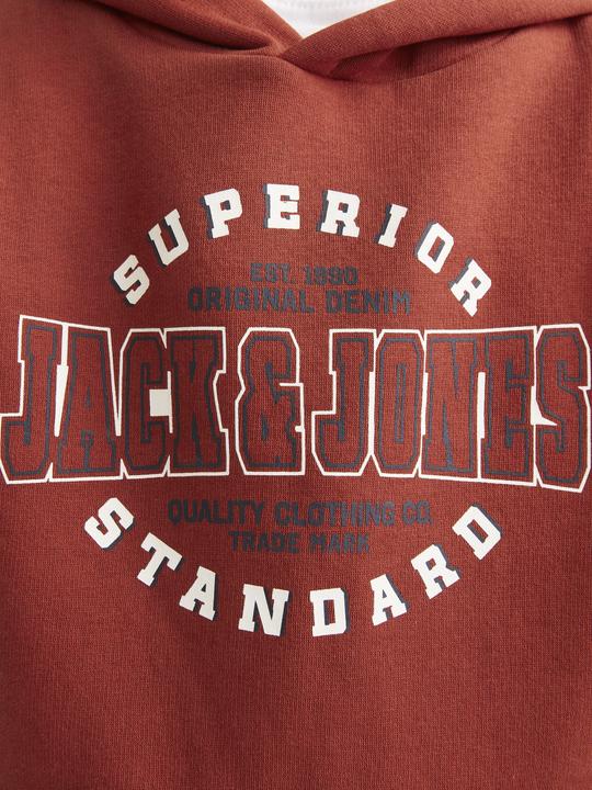 Immagine prodotto Jack & Jones JJELOGO SWEAT HOOD 2 COL 24/25 NOOS MNI (98)