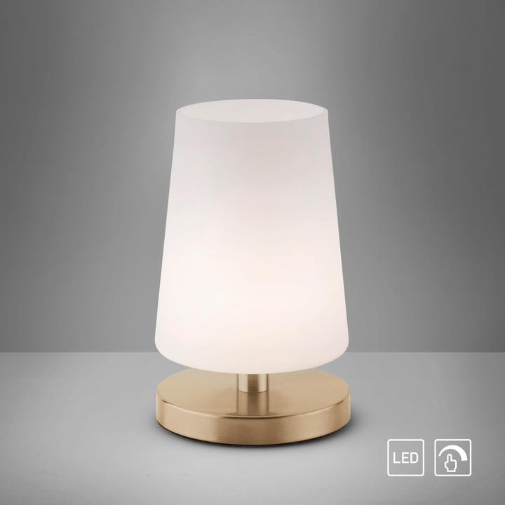Produktbild Paul Neuhaus messing LEDTischleuchte 3000K 3W (245 lm, G9)
