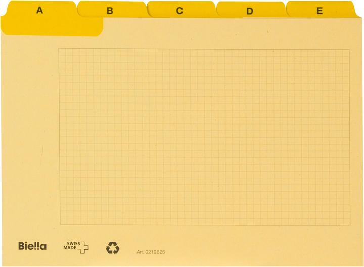 Produktbild Biella Kartei-Leitkarten A6 (A6, 450 g/m², 25 x)