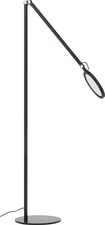 Fabas Luce Regina (1135 lm)
