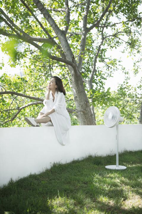 Actual product image Xiaomi Smartmi Pedestal Fan 3 (58 dB)