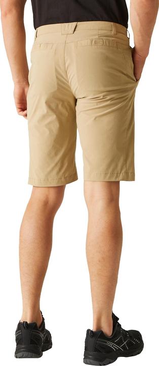 Image du produit Regatta - Short de marche HIGHTON - Homme (44 D)