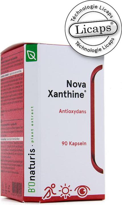 Produktbild Novaxanthine Astaxanthin (90 Stück, Kapseln, 94 g)