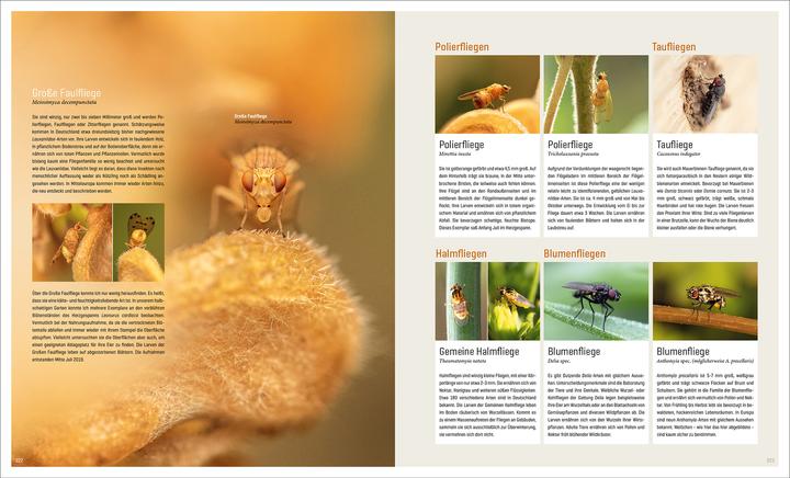 Actual product image Mein Artenretter Garten (German, Anja Eder, 2024)