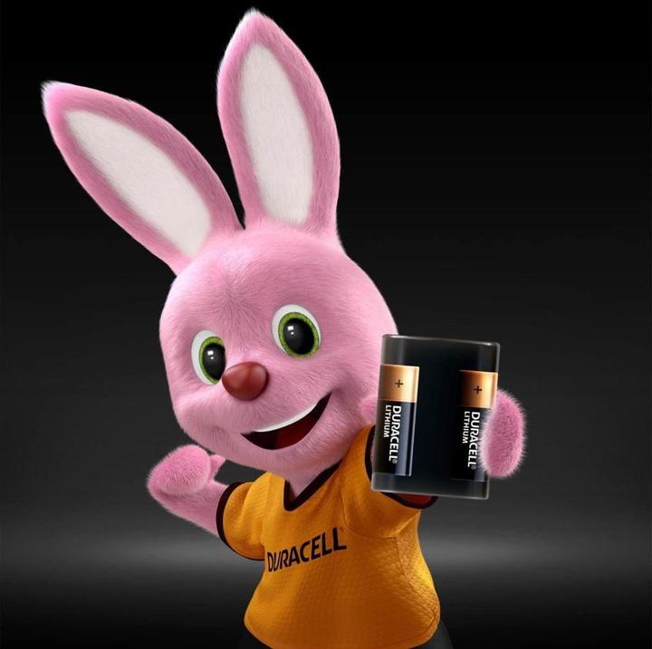 Actual product image Duracell Photo 6.0V (1 pcs., 2CR5, 1400 mAh)